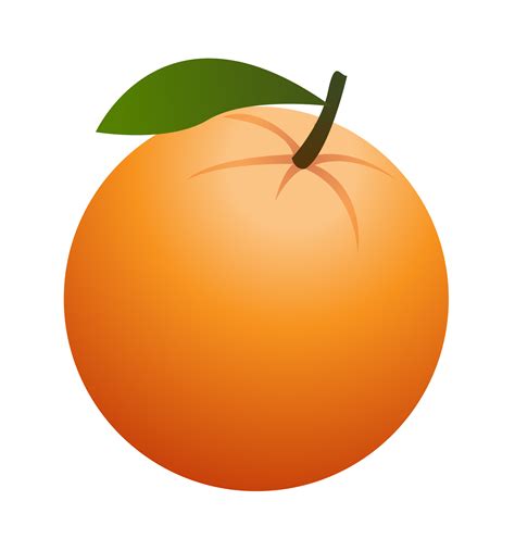Orange Fruit Clipart Clipart Best