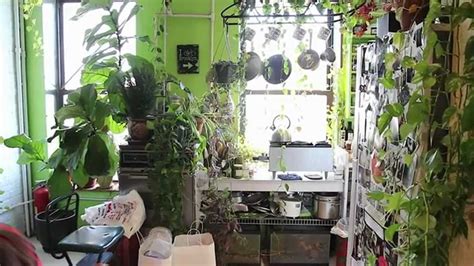 How To Green Your Home Part 1 Build An Indoor Vertical