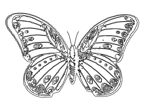 Effortfulg Free Printable Butterfly Coloring Pages
