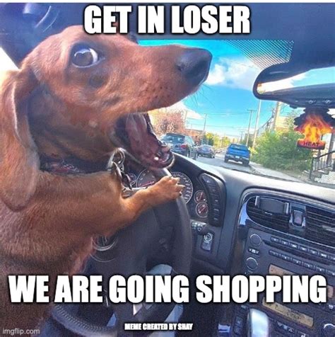 get in loser we re going shopping meme template