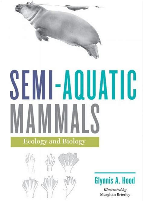 Semi Aquatic Mammals Ecology And Biology Nokomis