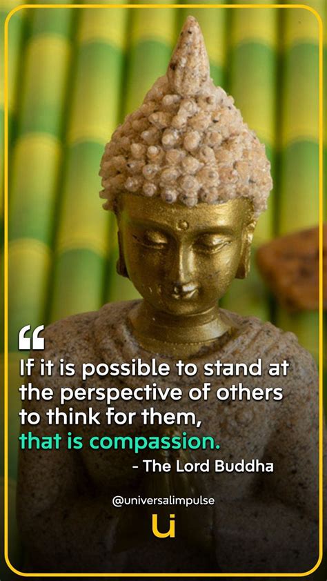 Incredible Compilation Of 999 Buddha Quotes Images In Full 4k Resolution