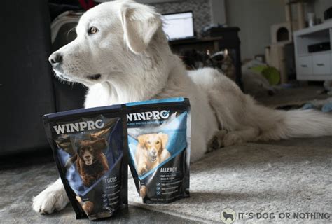 Winpro Blood Protein Supplements For Dogs Its Dog Or Nothing