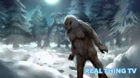 Yeti Found On Mystery Trail Area Of The Himalayas Youtube