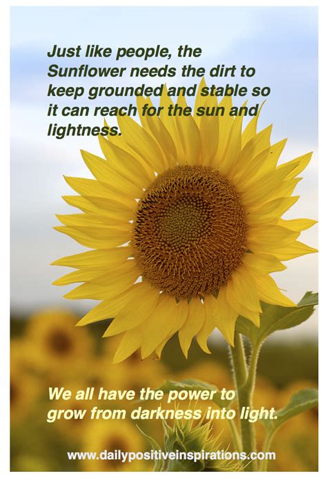 Best sunflower quotes selected by thousands of our users! The theme of my site is sunflowers - they symbolize growth and beauty when we grow towards the ...