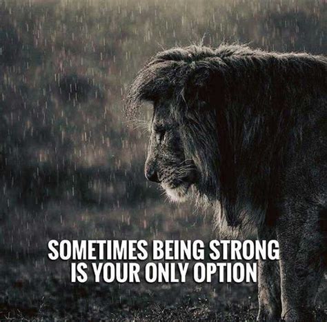 56 Inspirational Quotes About Strength And Perseverance Quotes About