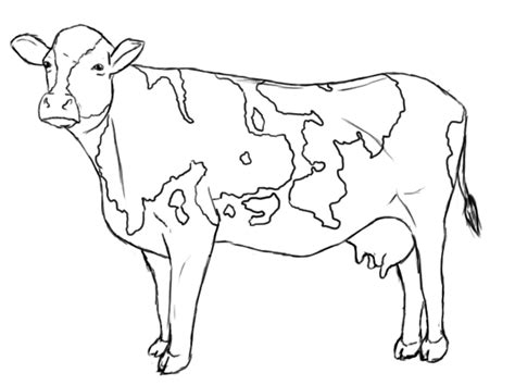 Cow Tail Coloring Page Coloring Pages