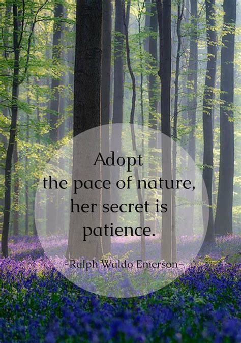 “adopt The Pace Of Nature Her Secret Is Patience” Ralph Waldo