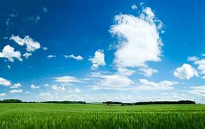 Nature, Grass, Clouds, Wallpapers, Hd, Desktop, And, Mobile