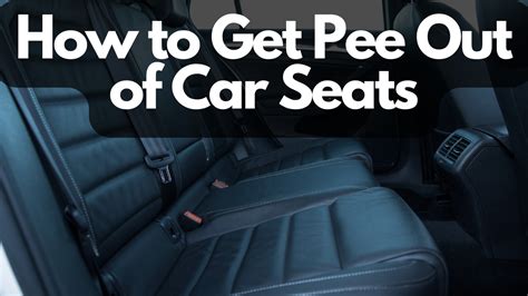 How To Get Pee Out Of Car Seats In 6 Steps Cloth And Leather