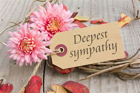 A Sign That Says Deepest Sympathy Next To Some Dried Leaves And Flowers