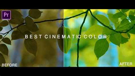 Cinematic Color Grading Premiere Pro How To Get The Color Correction