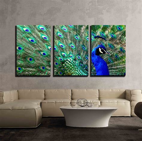 Wall26 3 Piece Canvas Wall Art Male Peacock Displaying His Colorful