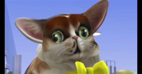 Spleens The Cat Sims 4