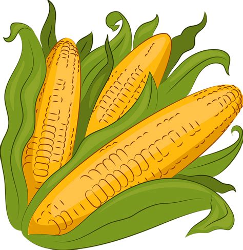 Harvest Corn Clip Art