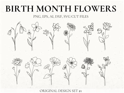 Birth Month Flower Svg Bundle Hand Drawn Flower Flower Etsy