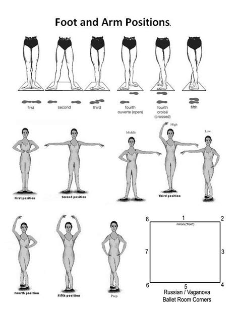 Ballet Positions Ballet Basics Ballet Exercises