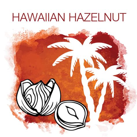 Cold Brewed Hawaiian Hazelnut Coconut Milk Iced Coffee Pizazz