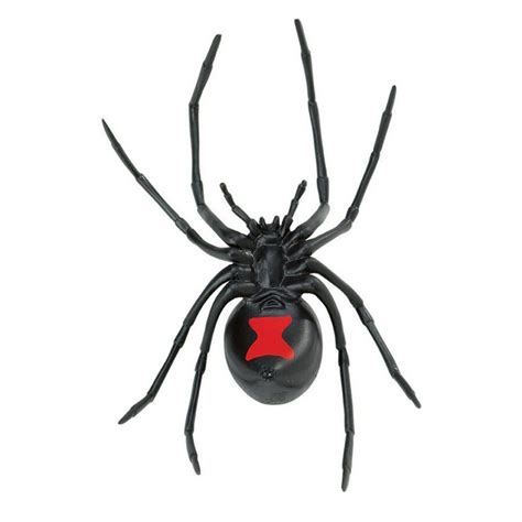 Black Widow Spider Toy The Tye Dyed Iguana Reptiles And Reptile