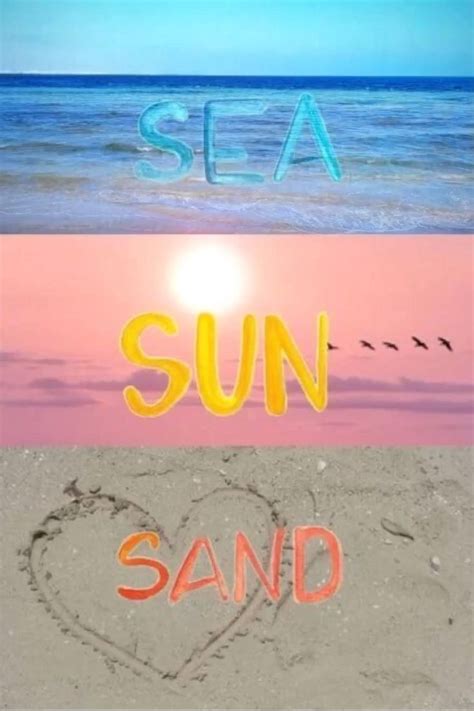 sea 🌊 sun ☀️ sand 🏖 [video] beach quotes i love the beach beach life