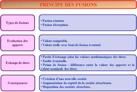 Fusion De Sociétéstypologiemodalités Financières Et Principes Comptables