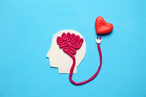 Qu Es El Amor Desde La Psicolog A Neurita