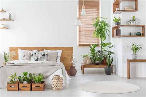 Ver más ideas sobre decoracion plantas, plantas, plantas de interior. Decoración de interiores con plantas | IDEAS Mercado Libre Argentina