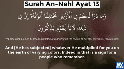 Surah An Nahl Ayat 13 1613 Quran With Tafsir My Islam