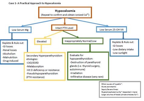 Hypocalcemia Differential Diagnosis Algorithm Grepmed