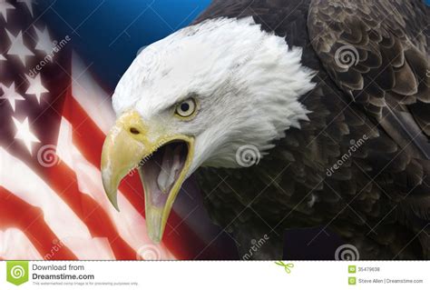 United States Of America Stock Photo Image Of National