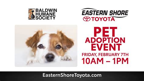 Get the latest on adoption processes, learn how local shelters and rescue groups are adapting and find out what you can do to help dogs and cats in need right now. Pet Adoption Event - Eastern Shore Toyota - YouTube