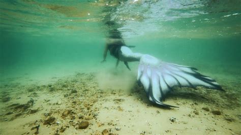 The Blind Mermaid Glen Lake Mermaid Sighting Underwater Footage At