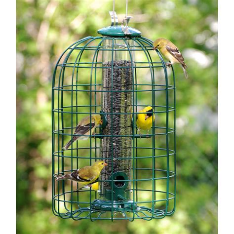 Audobon Caged Tube Wild Bird Feeder Natube3 Goods Store Online