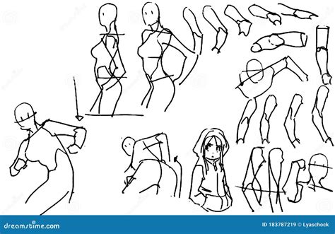 Tutorial Of Drawing Female Body Drawing The Human Body Step By Step Lessons Royalty Free Stock