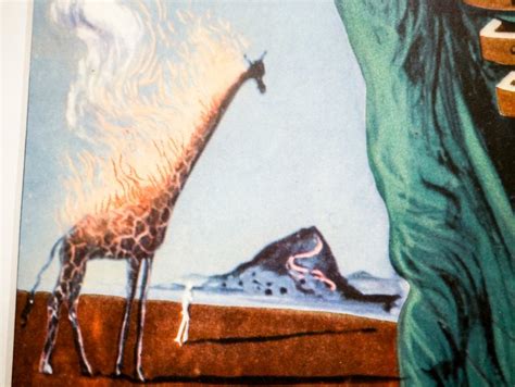 Salvador Dalí After Giraffe In Flames Catawiki