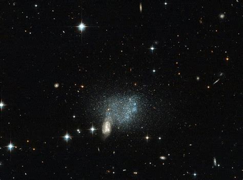 Dwarf Galaxy Eso 489 056 In Canis Major Cosmos Bad Honnef Space Shot