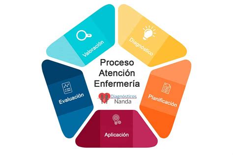 Etapas De Proceso De Atencion De Enfermeria Esquemas Y Mapas Images