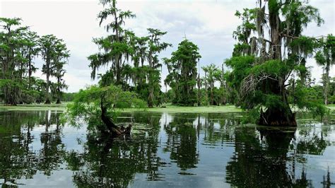 Louisiana Completes 36 Million Wetland Restoration Project Storm