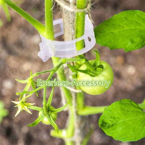 100pcs Garden Plant Support Clips Tomato Upright Grow Clips Hanging