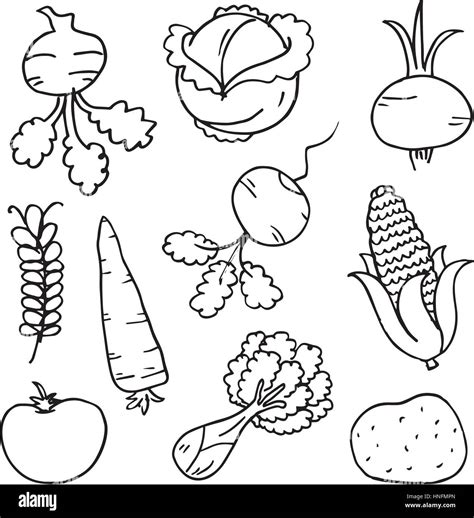 Doodle De Verduras Dibujar A Mano Sobre Fondos Blancos Arte Vectorial