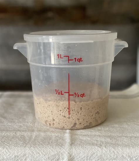 .forget to feed your starter for a few weeks or leave it in the back of the fridge for 3 months. How To Feed/Refresh Your Sourdough Starter - gristandtoll