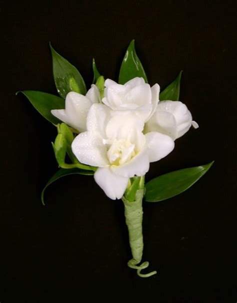 White Boutonniere Orchid Or Freesia In Newton Ma The Crimson