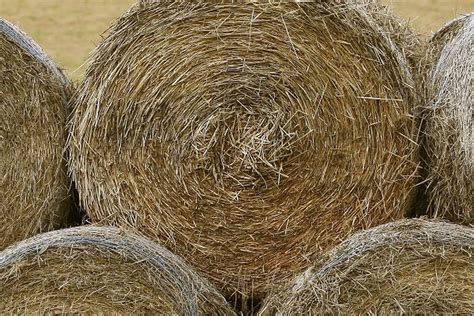 Giant Hay Bale Kills Founder Of Elo Uk