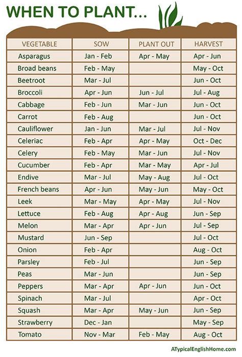 Figure Out When To Plant Your Seeds By The Month Home Vegetable