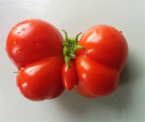 20 Funny Shaped Fruits And Vegetables That Will Make You Look Twice