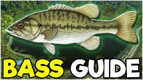 We did not find results for: BASS Fishing Guide! - Fishing Planet Tips - YouTube