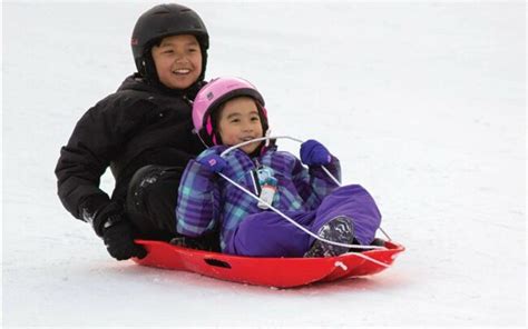 The Best Snow Sleds Of 2023 Recommendations From Bob Vila