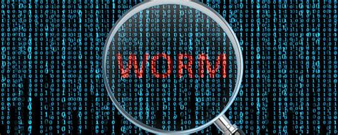 Top Tools To Defend Your Network Against Computer Worms