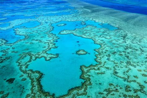 The Great Barrier Reef Frequently Asked Questions