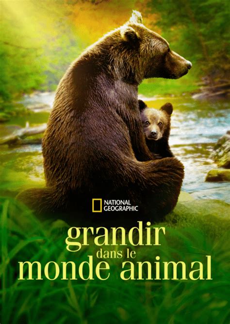 Regarder Grandir Dans Le Monde Animal Épisodes Complets Disney
